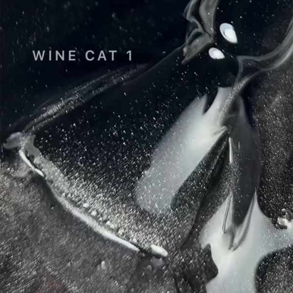 Гель-лак котяче око SAGA Professional Wine Cat №01, чорний, 10 мл