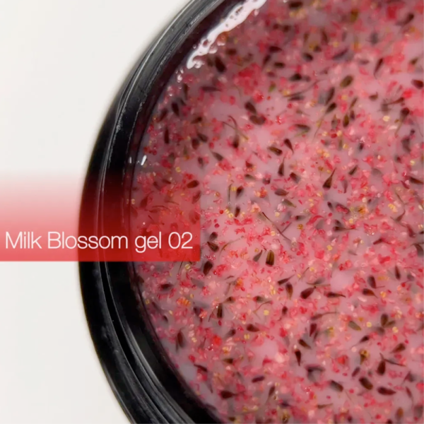 DANNY Milk Blossom Gel №02 - конструюючий гель, ніжно-рожевий із сухоцвітами, 15 мл