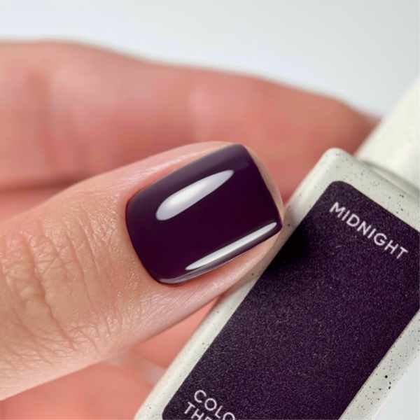 Гель-лак NAILSOFTHEDAY Color Of The Month Januar 2026 Midnight, сливовый, 10 мл