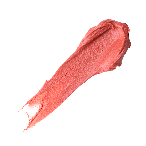 Помада бархатная матовая ZOLA Velour Lip Souffle 02 Rosewood, розовое дерево