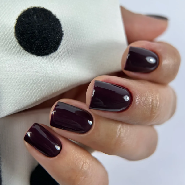Гель-лак GEMELY Max Color №010, темно-сливовый, 6 мл