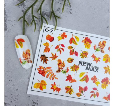 Слайдер-дизайн C-07 New Max Color