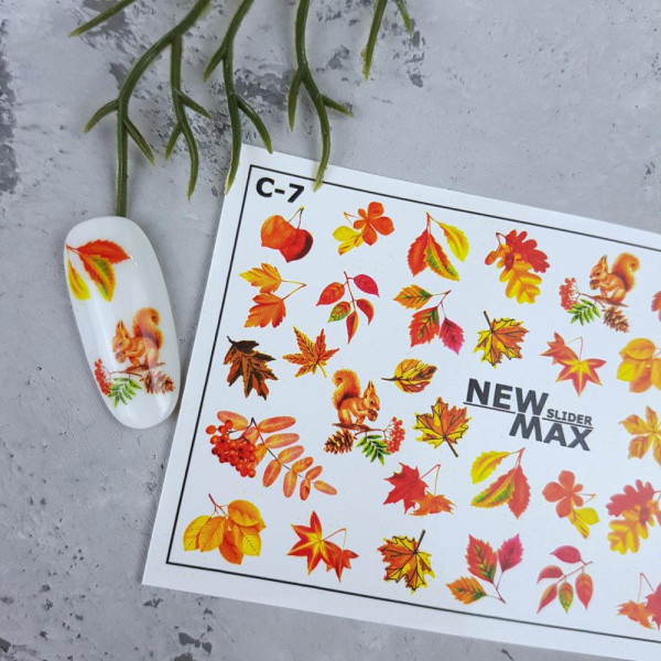 Слайдер-дизайн C-07 New Max Color