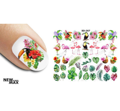Слайдер-дизайн New Max SD-267