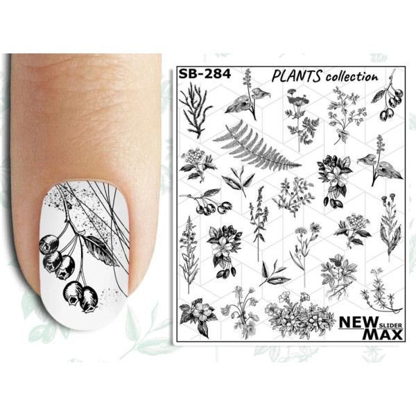 Слайдер-дизайн New Max SB-284
