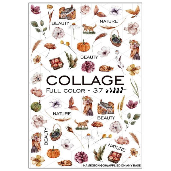 Слайдер-дизайн Collage Full Color-37