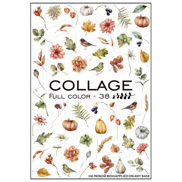 Слайдер-дизайн Collage Full Color-38