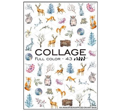 Слайдер-дизайн Collage Full Color-43