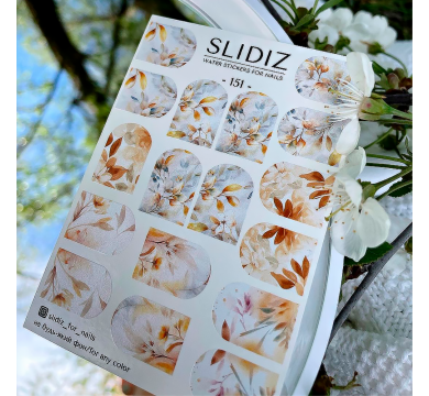 Слайдер-дизайн SLIDIZ №151, веточки