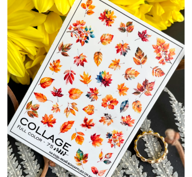 Слайдер-дизайн Collage Full Color-75