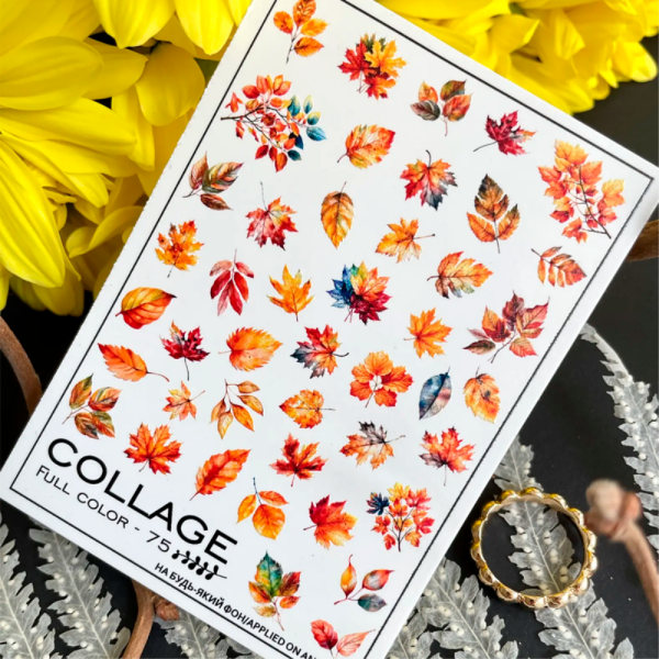 Слайдер-дизайн Collage Full Color-75