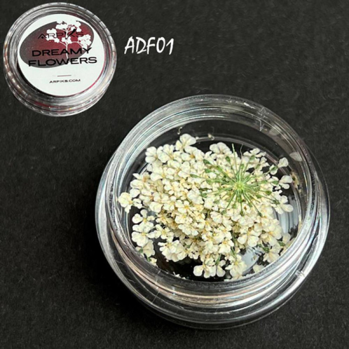 Сухоцветы для ногтей Arpiks Dreamy Flowers ADF01, белые