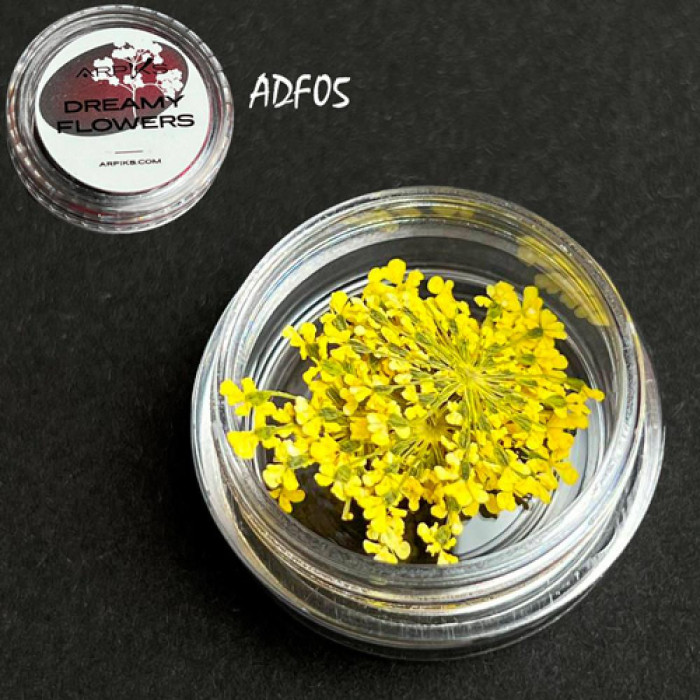 Сухоцвіти для нігтів Arpiks Dreamy Flowers ADF05, жовті