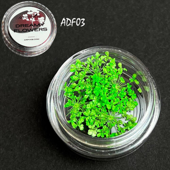 Сухоцвіти для нігтів Arpiks Dreamy Flowers ADF03, зелені