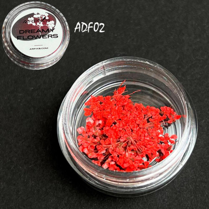 Сухоцвіти для нігтів Arpiks Dreamy Flowers ADF02, червоні