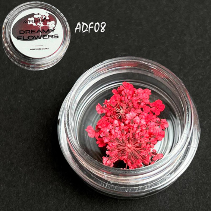 Сухоцвіти для нігтів Arpiks Dreamy Flowers ADF08, малинові