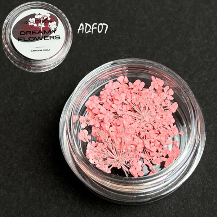Сухоцвіти для нігтів Arpiks Dreamy Flowers ADF07, персикові