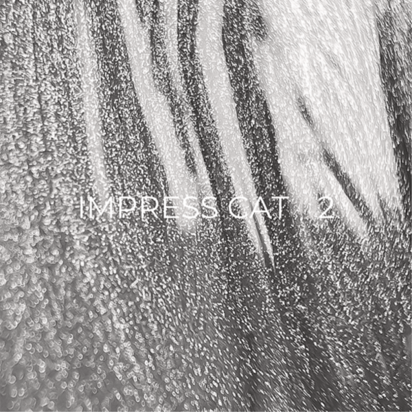 Гель-лак котяче око Edlen Impress Cat Eye №02 кришталеве, біле срібло, 9 мл
