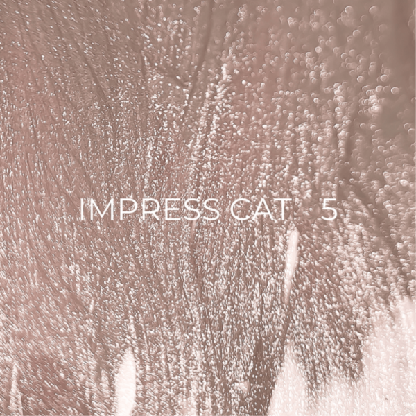 Гель-лак кошачий глаз Edlen Impress Cat Eye №05 хрустальный, бежевый, 9 мл