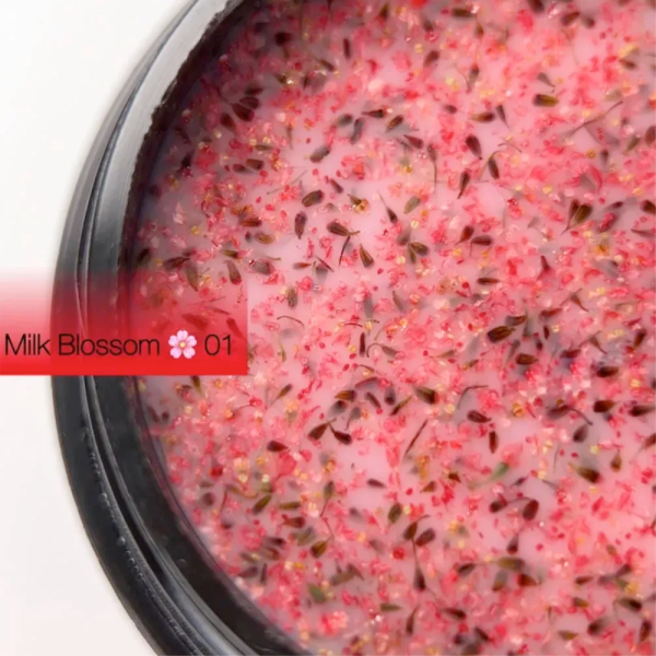 DANNY Milk Blossom Gel №01 - конструюючий гель, рожевий із сухоцвітами, 15 мл